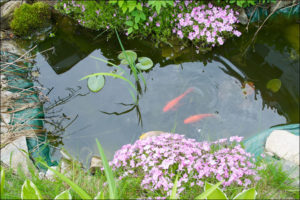 epdm pond liner for decorative pond