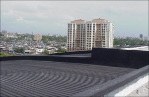 single ply membrane